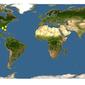 Discover Life: Point Map of Galactia microphylla